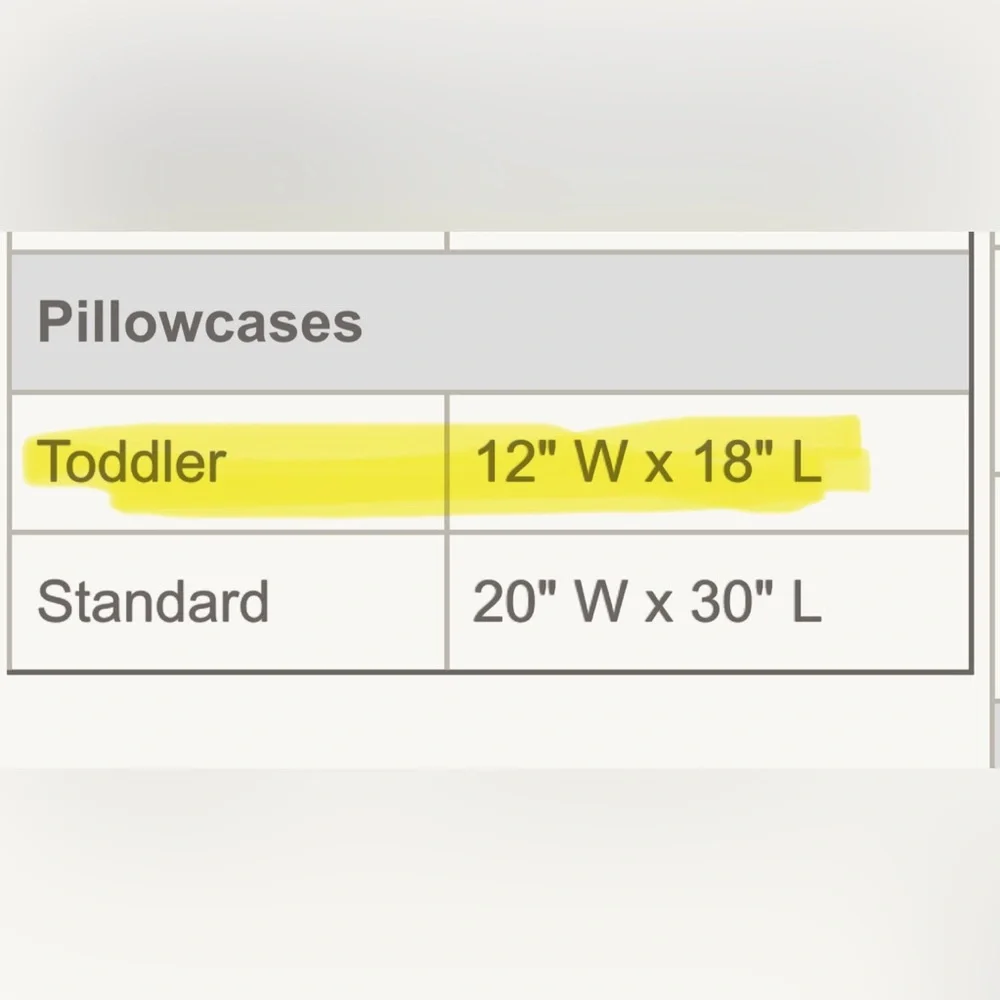 Restoration Hardware Warm White Ultra Fine Organic Cotton Toddler Pillow Case